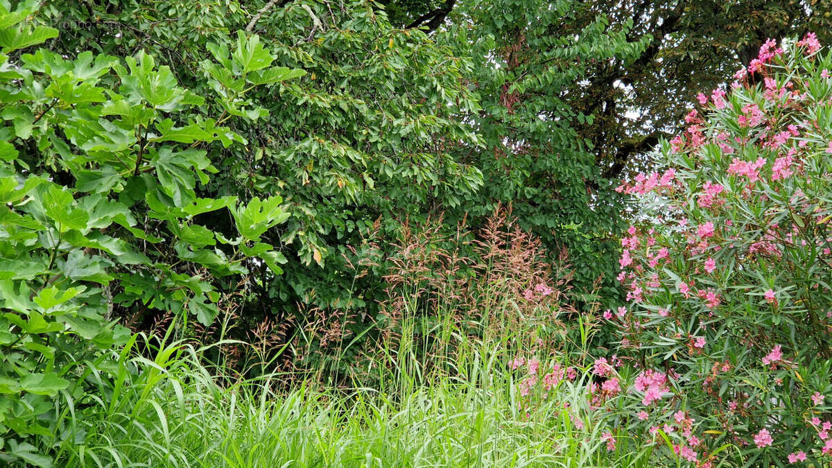 Maison à PESSAC-SUR-DORDOGNE