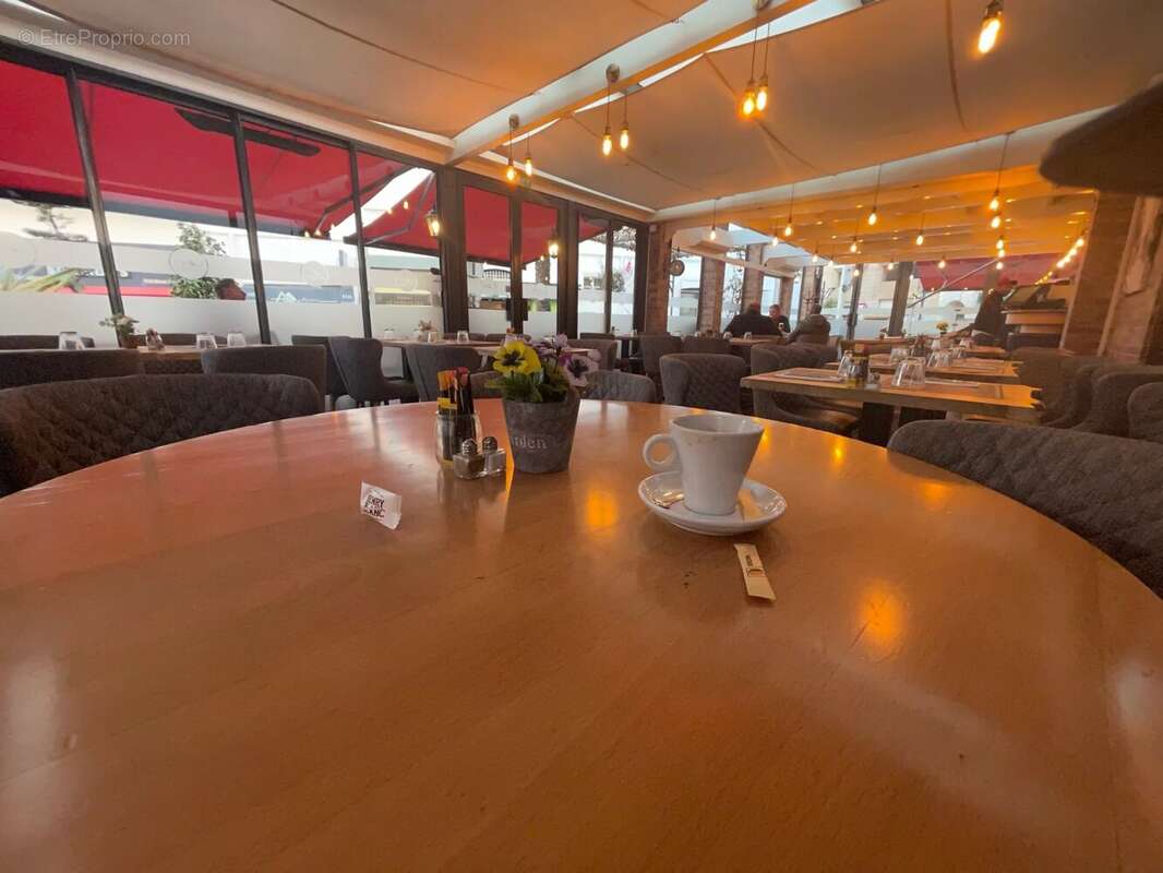 Cannes rue d antibes  brasserie restaurant - photo 6