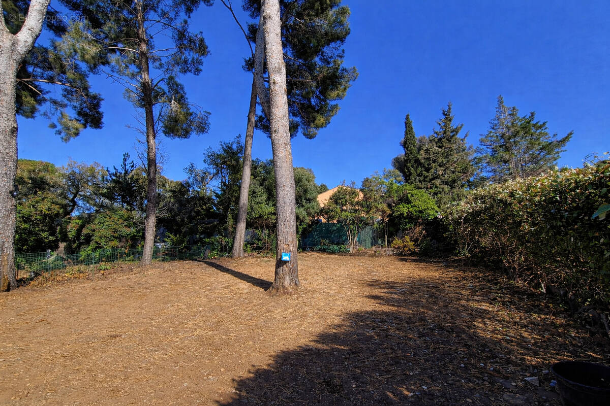 Terrain à SIX-FOURS-LES-PLAGES
