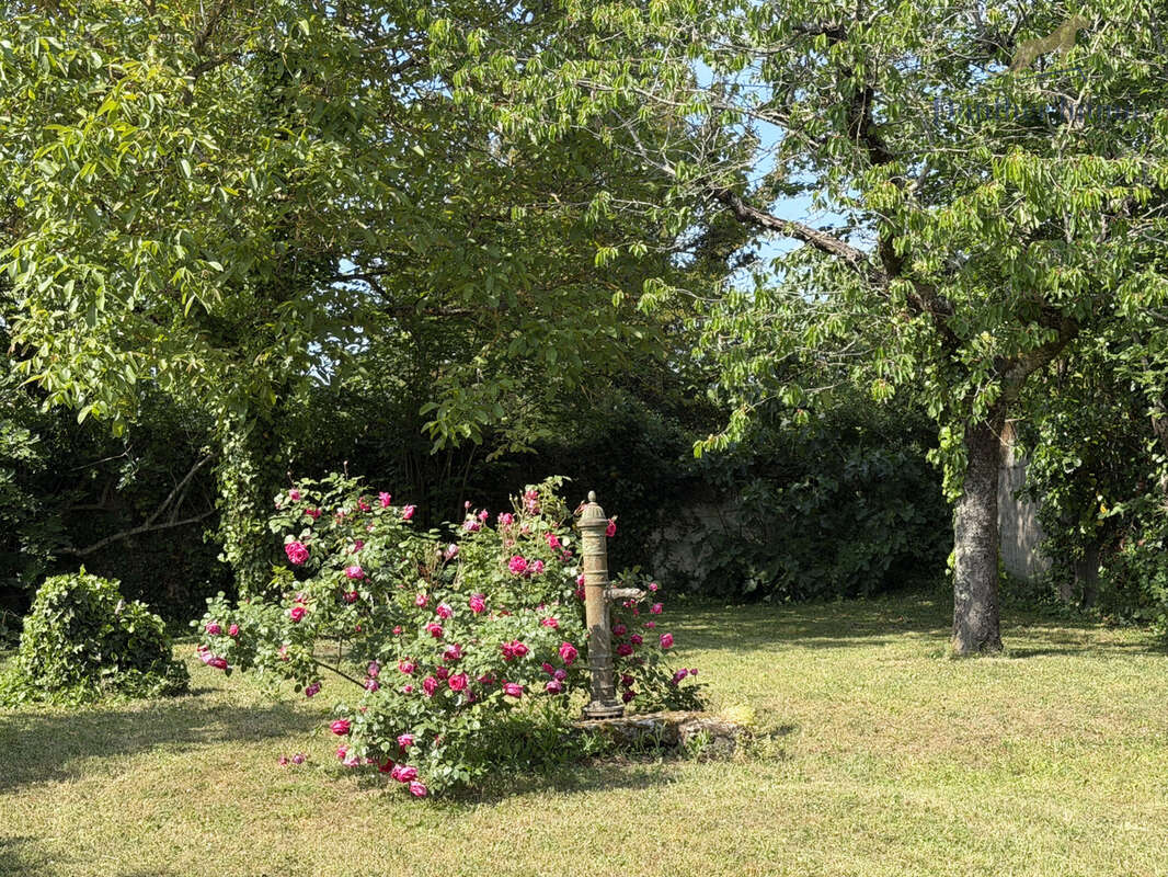 Maison à CHOUZE-SUR-LOIRE