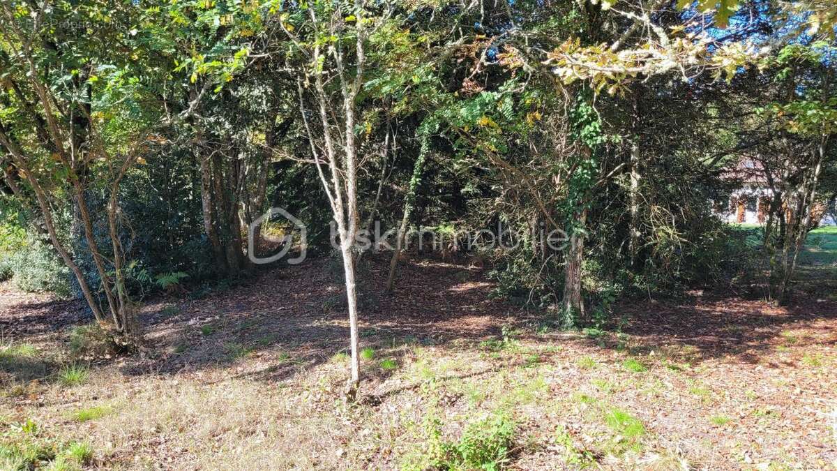 Terrain à PARENTIS-EN-BORN