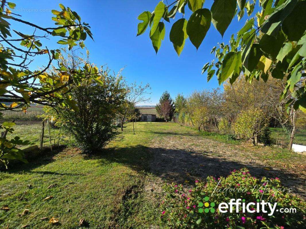 Maison à CASTELSARRASIN