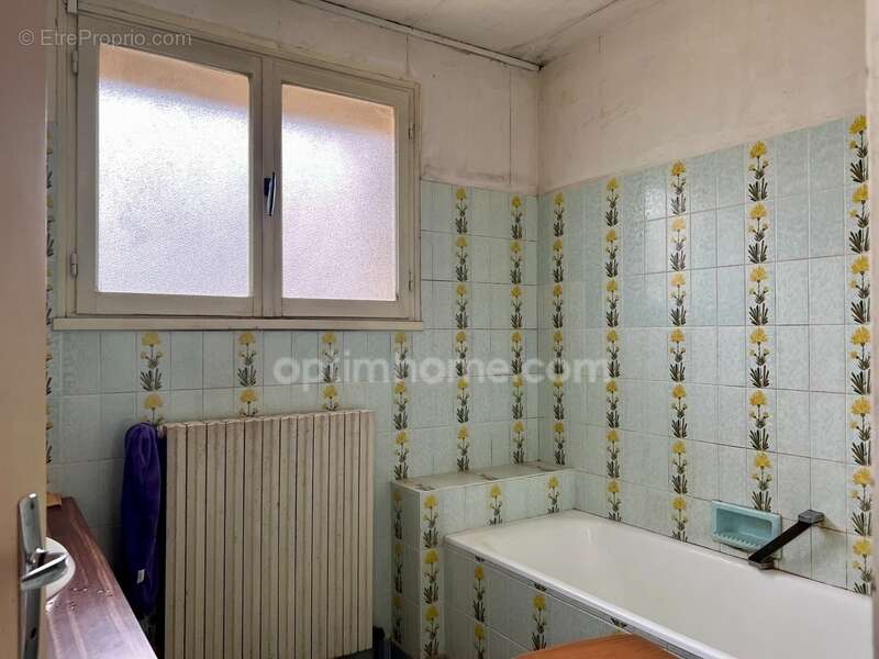 Maison à BRAY-SUR-SEINE