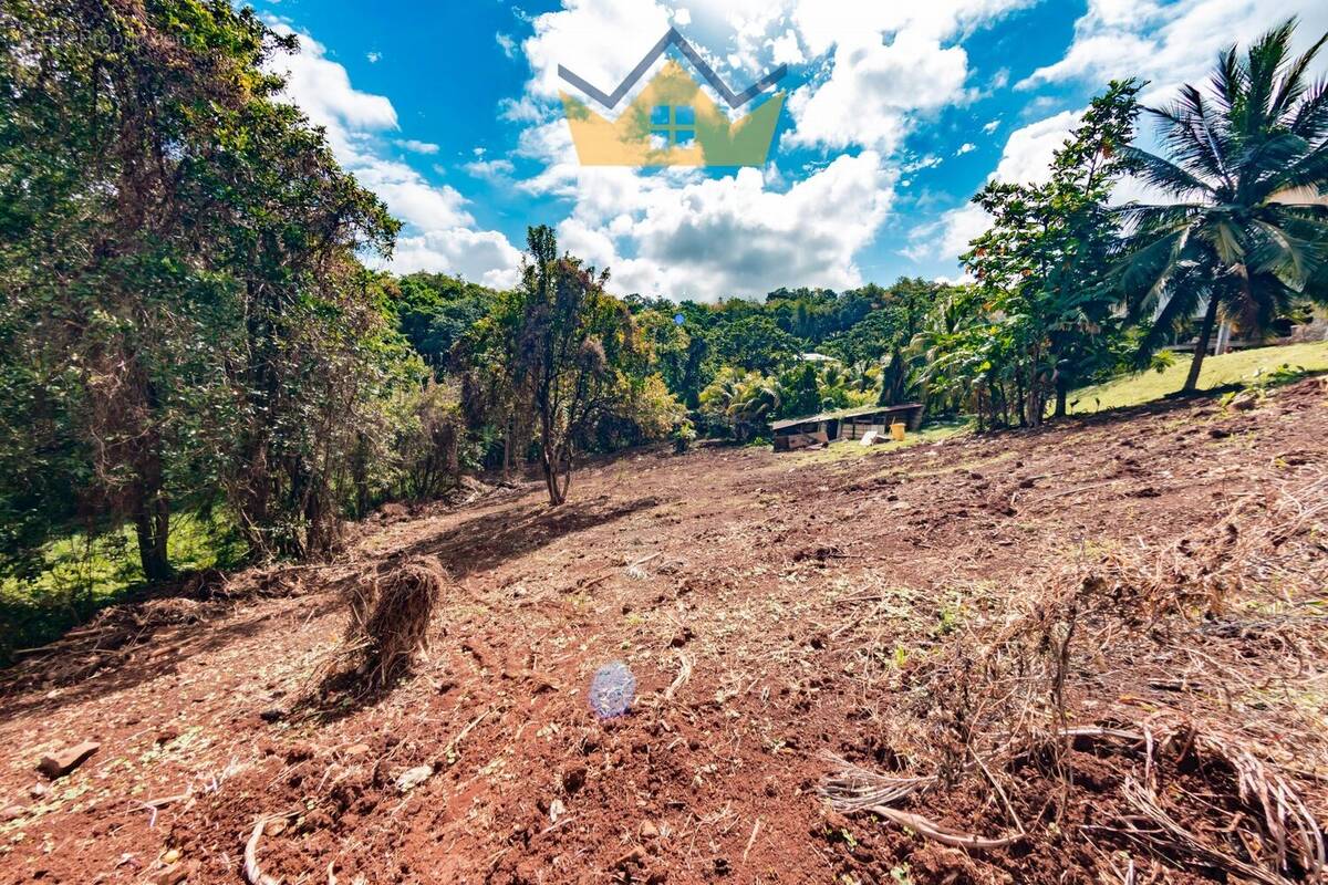 Terrain à SAINT-ESPRIT