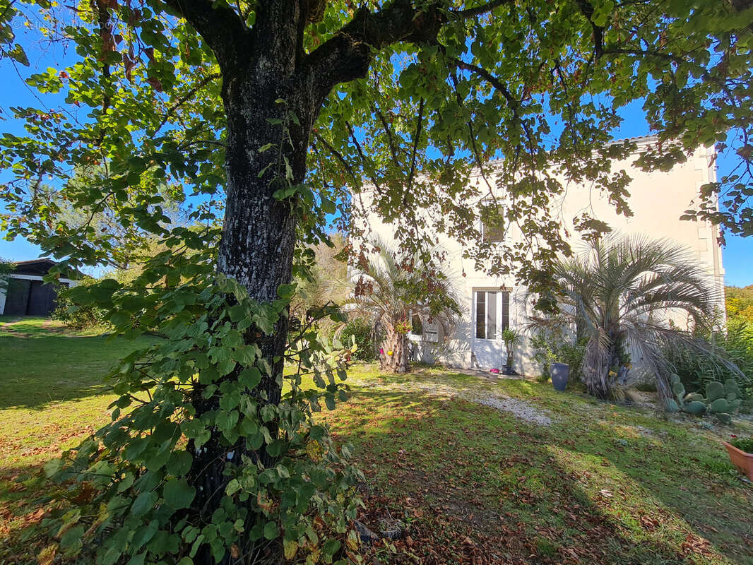 Maison à SAUGNACQ-ET-MURET