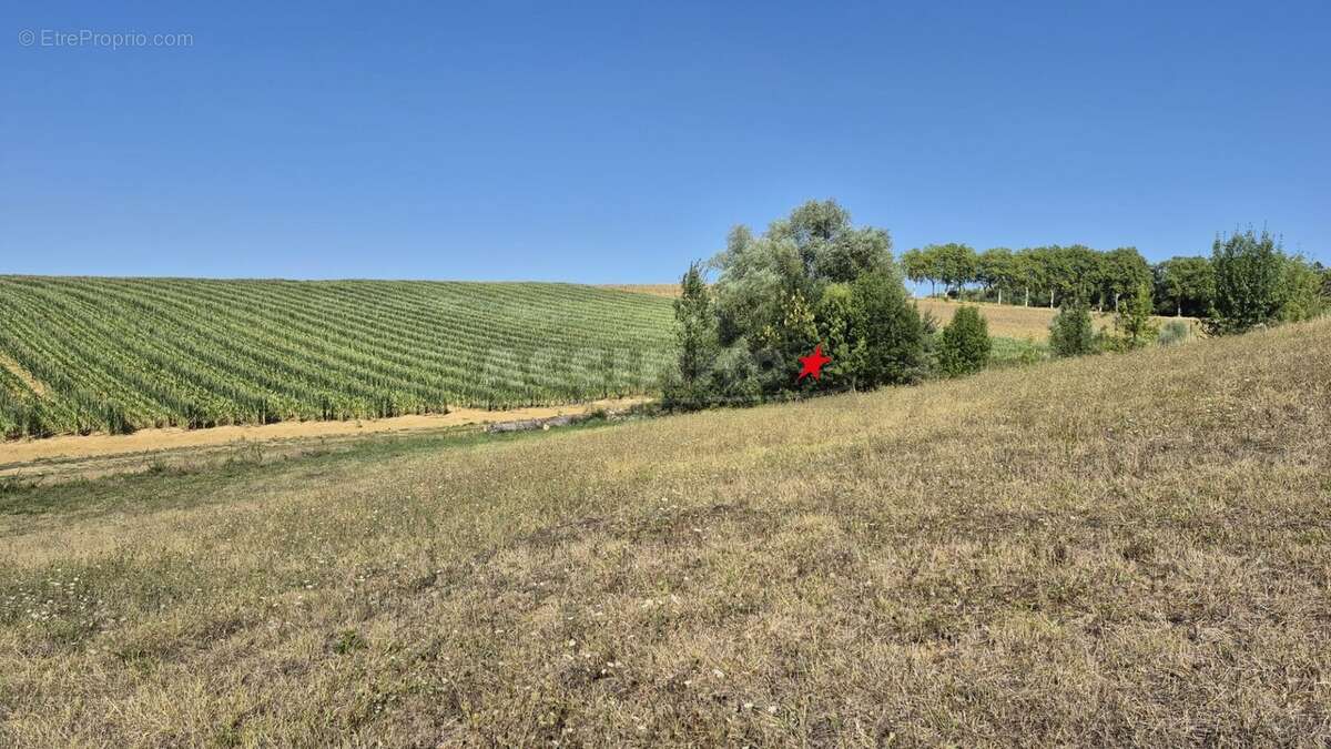 Lavaur secteur - terrain a batir - photo 3