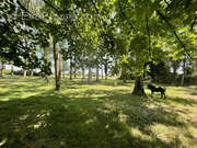 Terrain à BRAYE-SOUS-FAYE