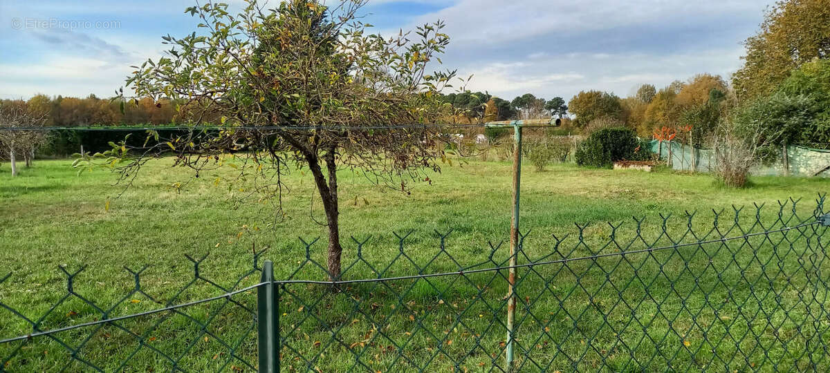 Maison à BRAIN-SUR-ALLONNES