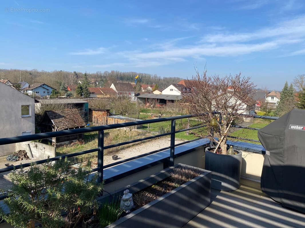 Appartement à HESINGUE