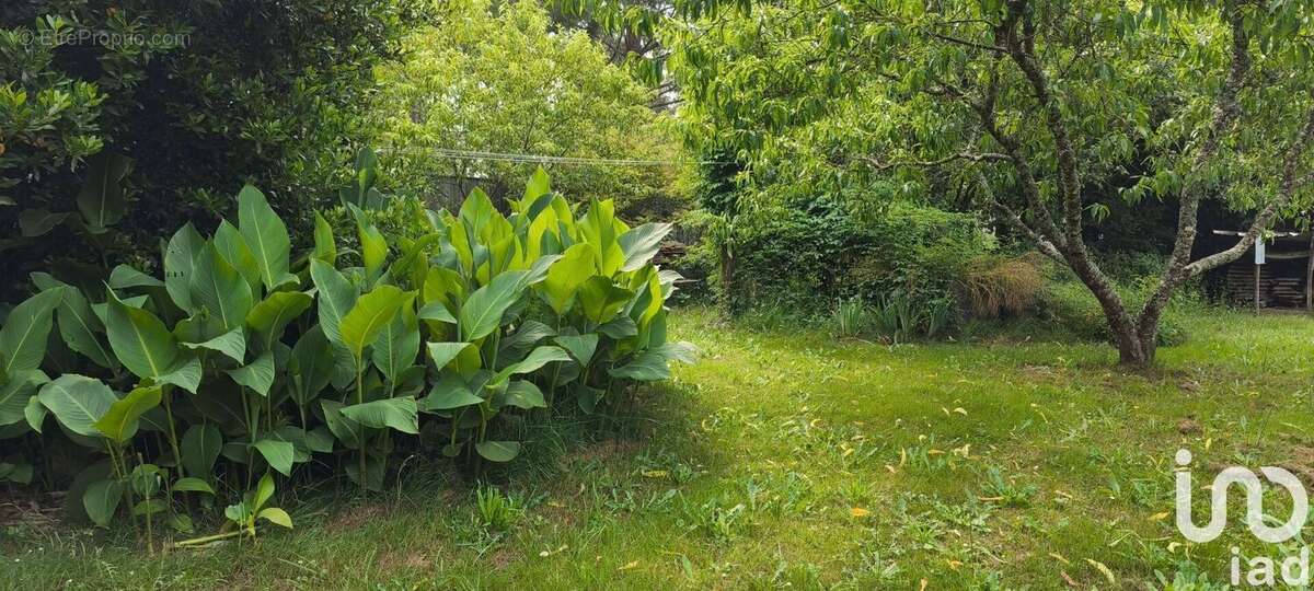 Photo 6 - Maison à CLERAC