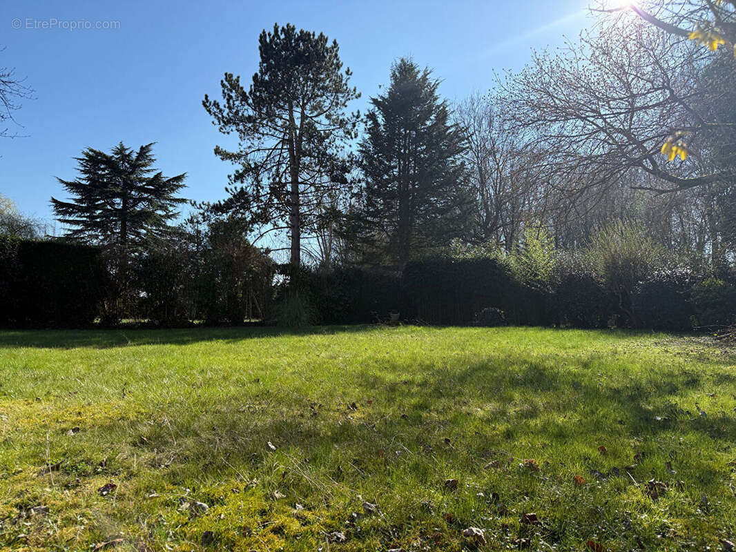 Maison à SAINT-WITZ