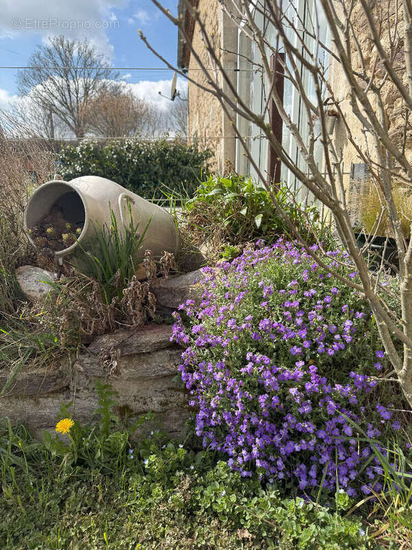 Maison à BELLENAVES