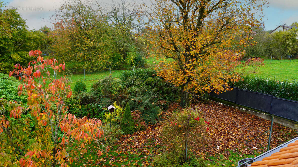 Maison à BLAINVILLE-SUR-L&#039;EAU