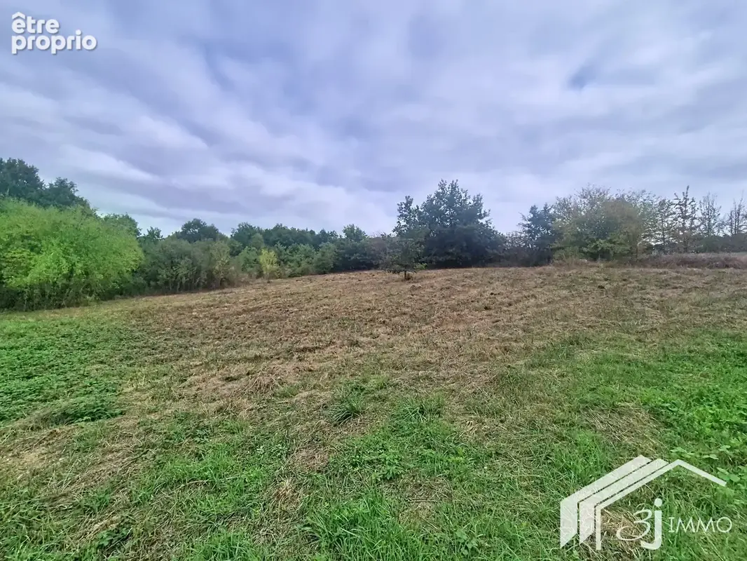 Terrain COX - photo 4