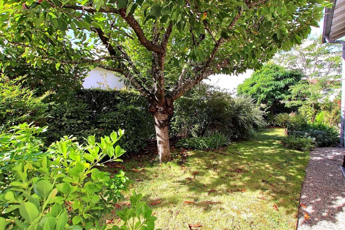 Maison à QUINT-FONSEGRIVES