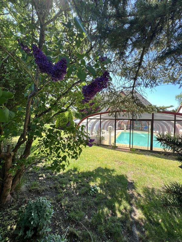 Maison à WILLGOTTHEIM