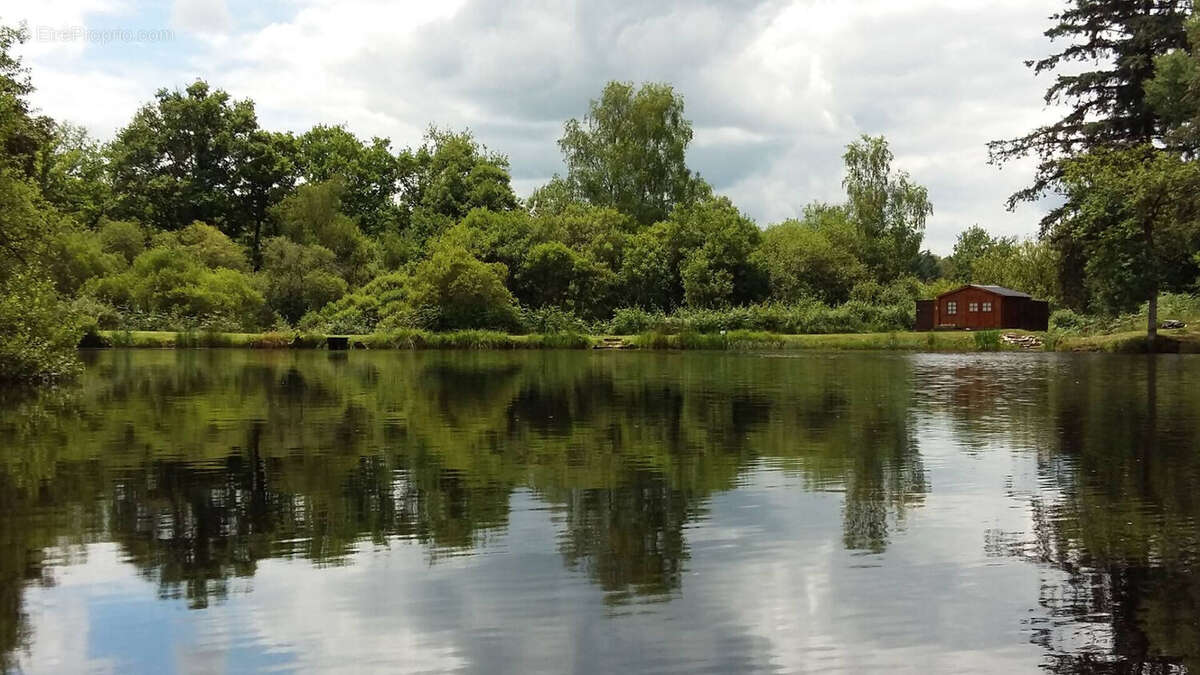 Terrain à COMPREIGNAC