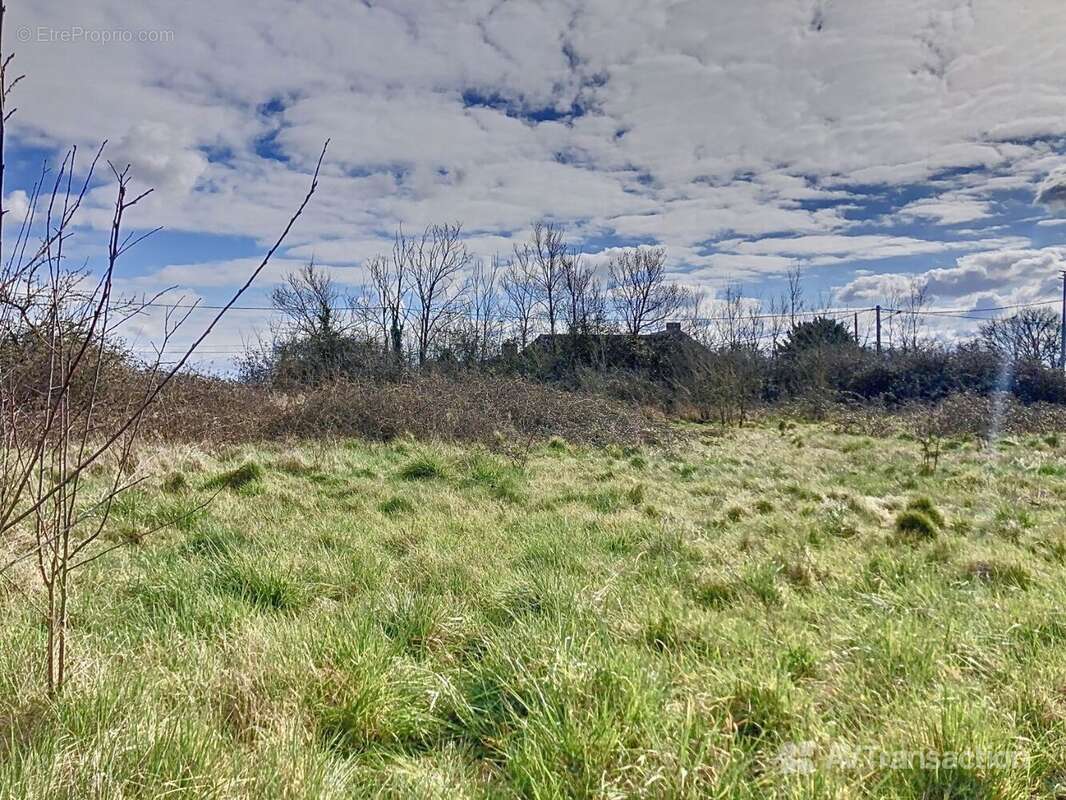 Terrain à AZAY-LE-FERRON