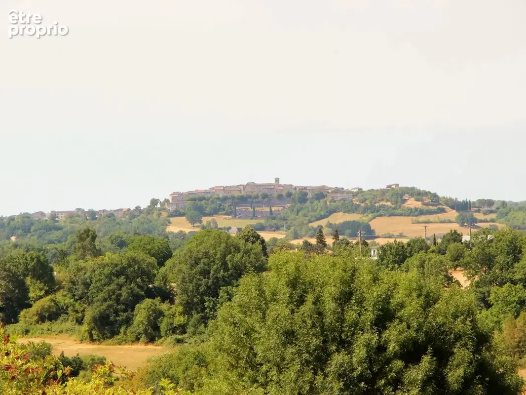 Propriété de caractère exceptionnelle avec vue sur Castelnau-de-Montmiral - photo 17