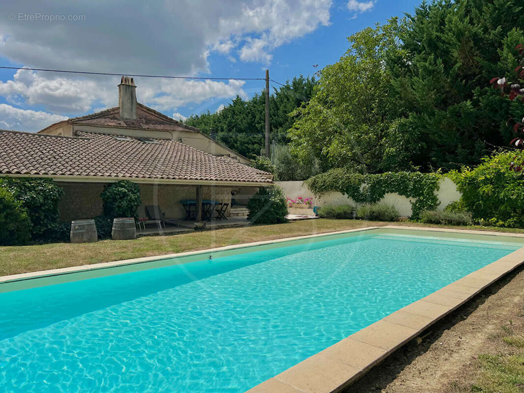 Élégant domaine viticole avec hébergements de vacances - photo 4