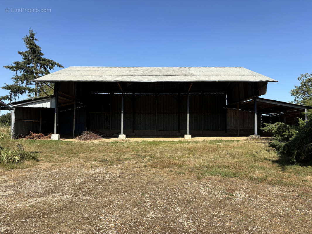 Savigny-sur-clairis - photo 24