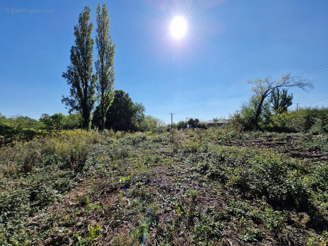 Terrain à SARREGUEMINES