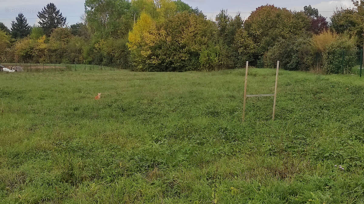 Terrain à SOREL-MOUSSEL