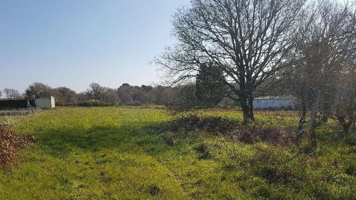 Photo 2 - Terrain à LOCOAL-MENDON