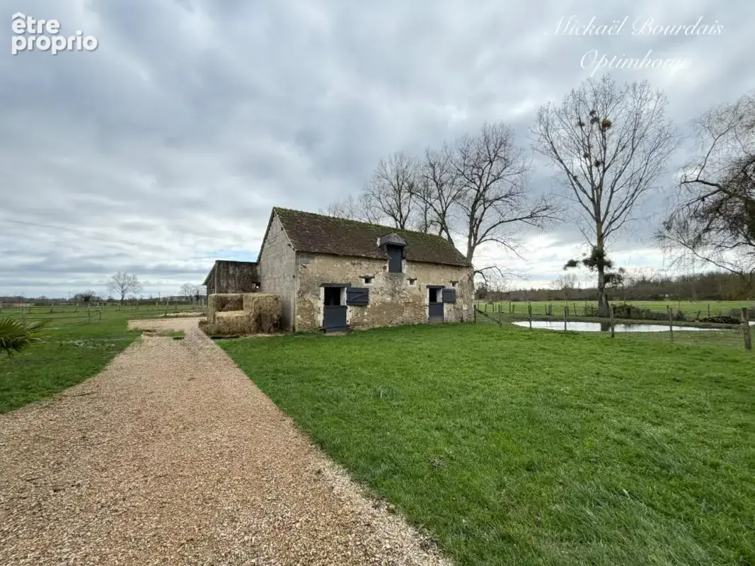 Maison de Maître XIXe – 220 m² – 1,6 ha – Dépendances & Installations Équestres – Environnement Préservé - photo 8