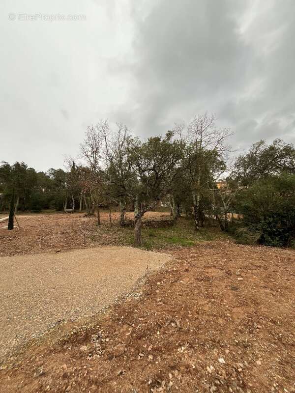 Terrain à VIDAUBAN