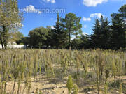 Terrain à SAINT-JEAN-DE-MONTS