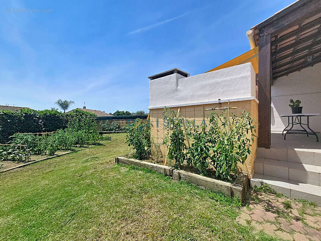 Maison à SARROLA-CARCOPINO