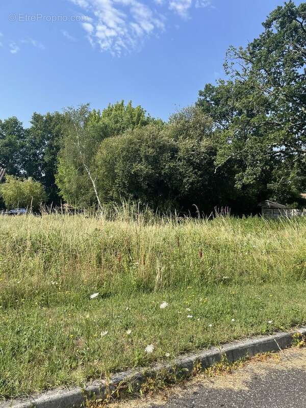 Terrain à bâtir de 788 m² à LE TEICH (33) - photo 2