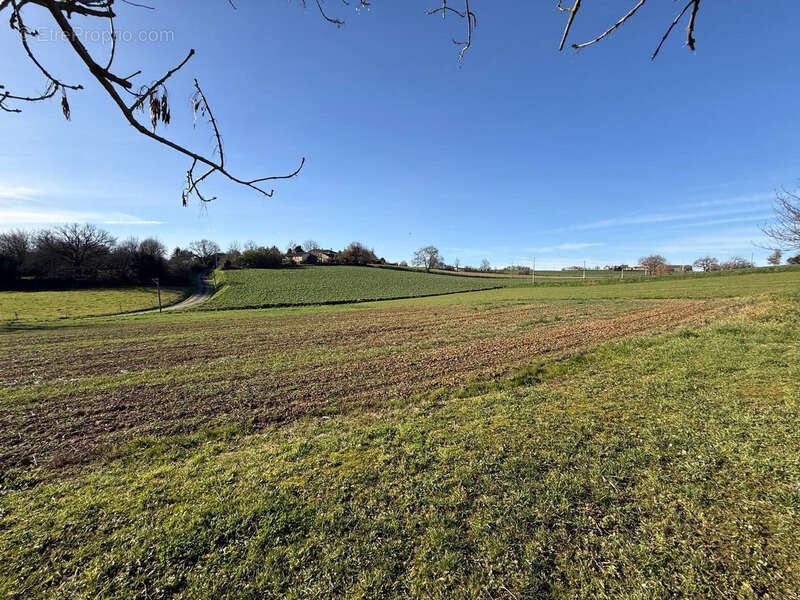 Dpt Hautes Pyrénées (65), à vendre SADOURNIN corps de ferme avec maison T6 de 125m² + grandes dépendances attenantes sur 8280 m² - photo 3