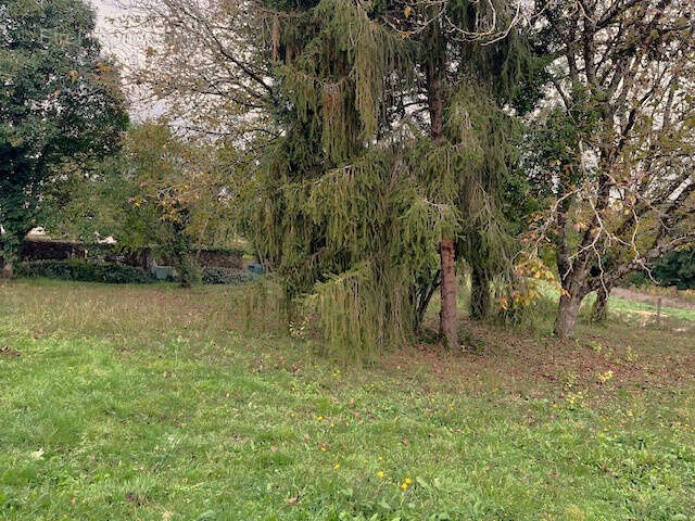Terrain à BAZAS
