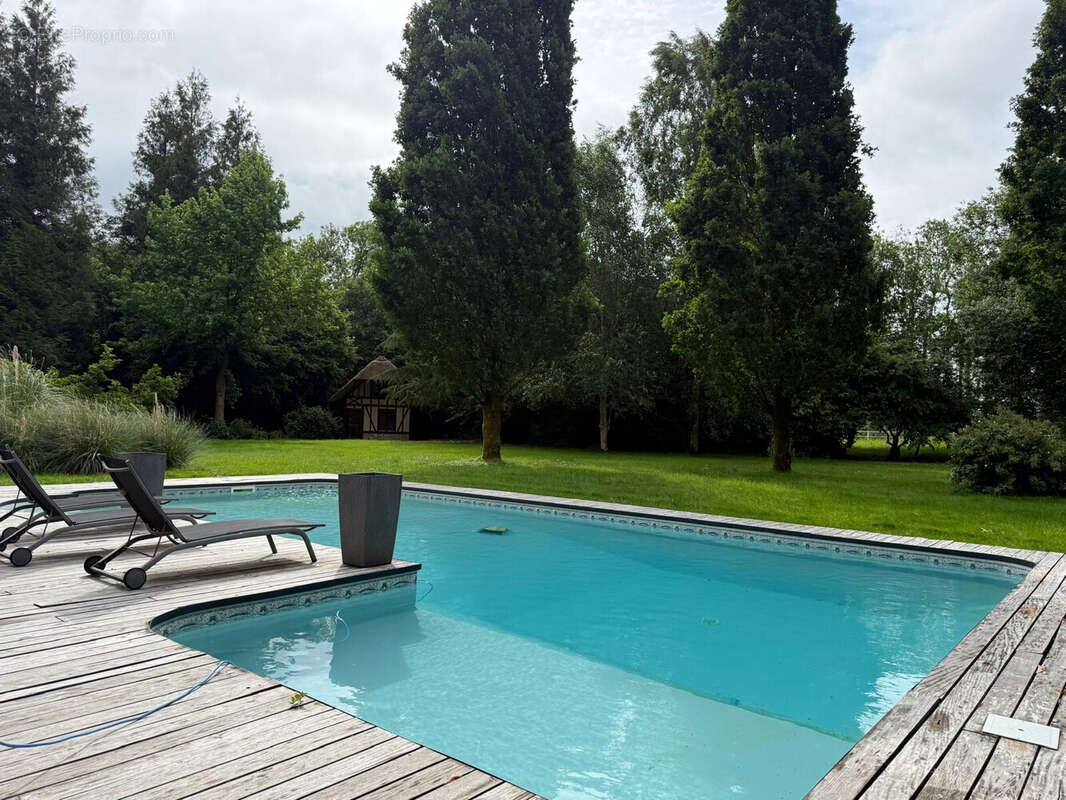 Maison 230 m² à Saint-Martin-Aux-Arbres  - photo 5