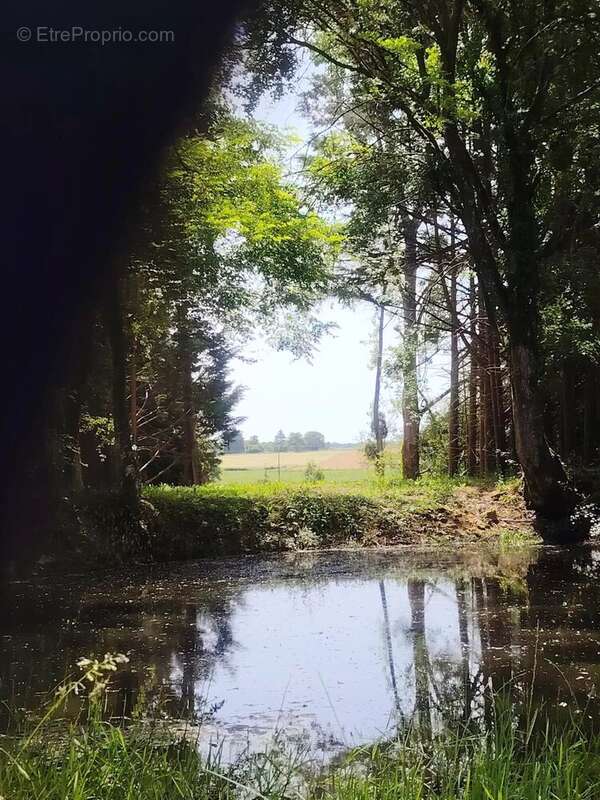 À vendre longère terrain 1,8 ha St-Malo-en-Donziois - photo 28