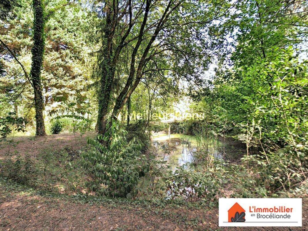 Charmante longère en Brocéliande sur 2 500m² - photo 3