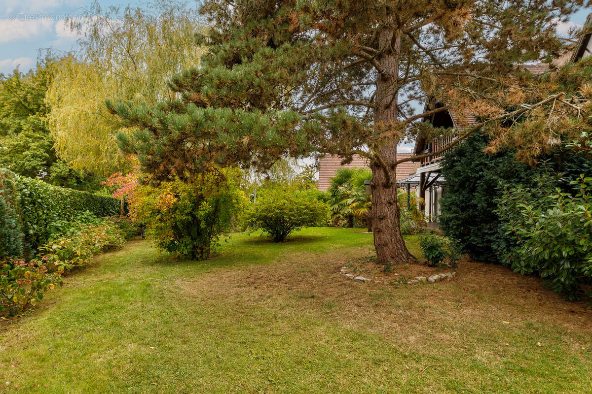 Maison à LE MESNIL-ESNARD