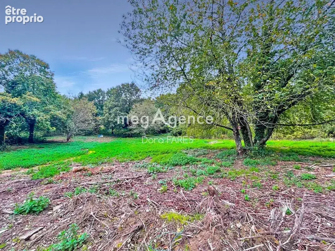 ** Terrain de 2003 m² à bâtir et construire sur Marcoussis** - photo 4