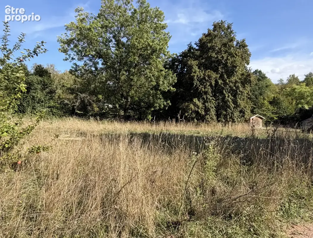 Terrain à VILLERS-COTTERETS