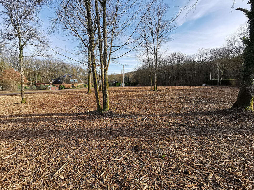 Terrain totalement défriché 2229 m2 - photo 4