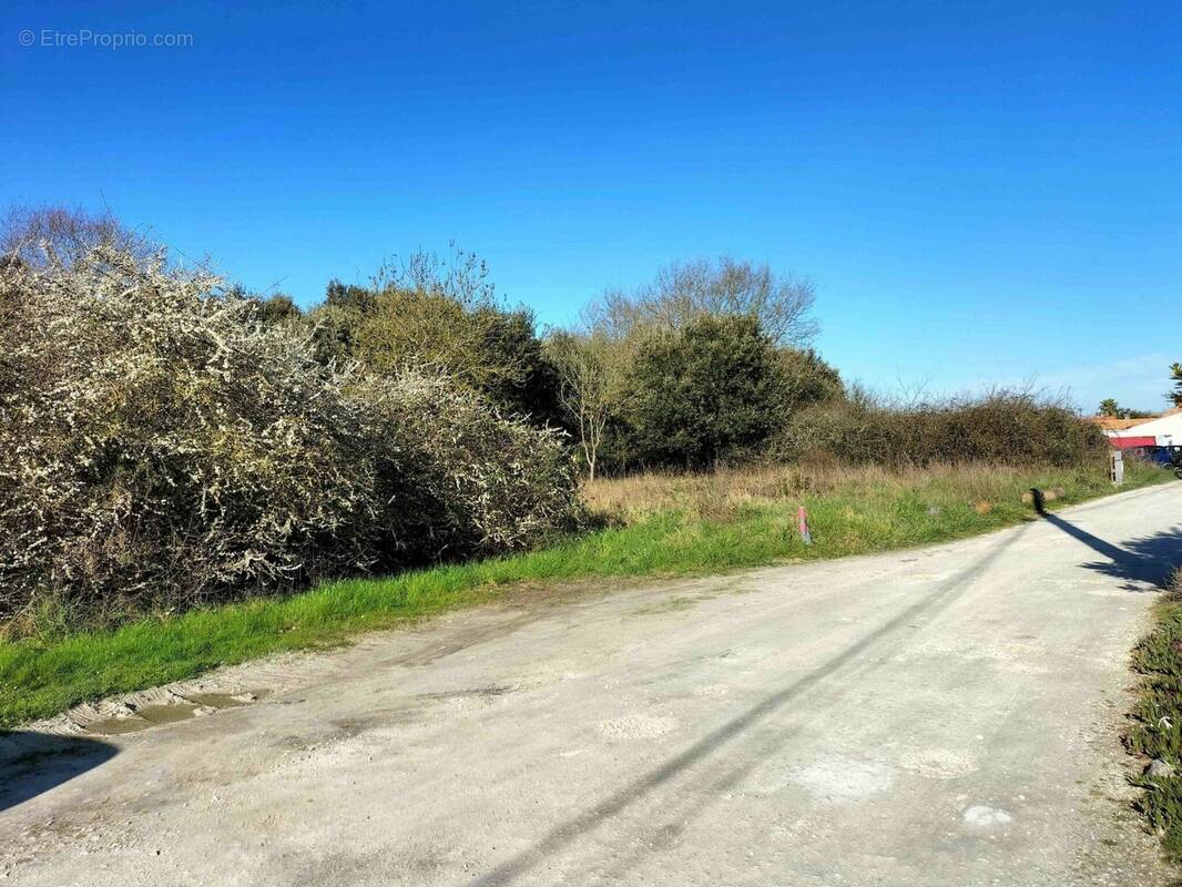 Terrain à DOLUS-D&#039;OLERON