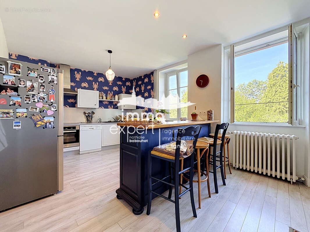 Immeuble de prestige avec appartement bourgeois, appartement loué, local professionnel et parc arboré - photo 8