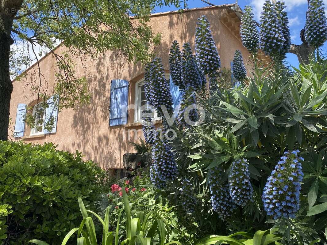 Maison à CLERMONT-L&#039;HERAULT