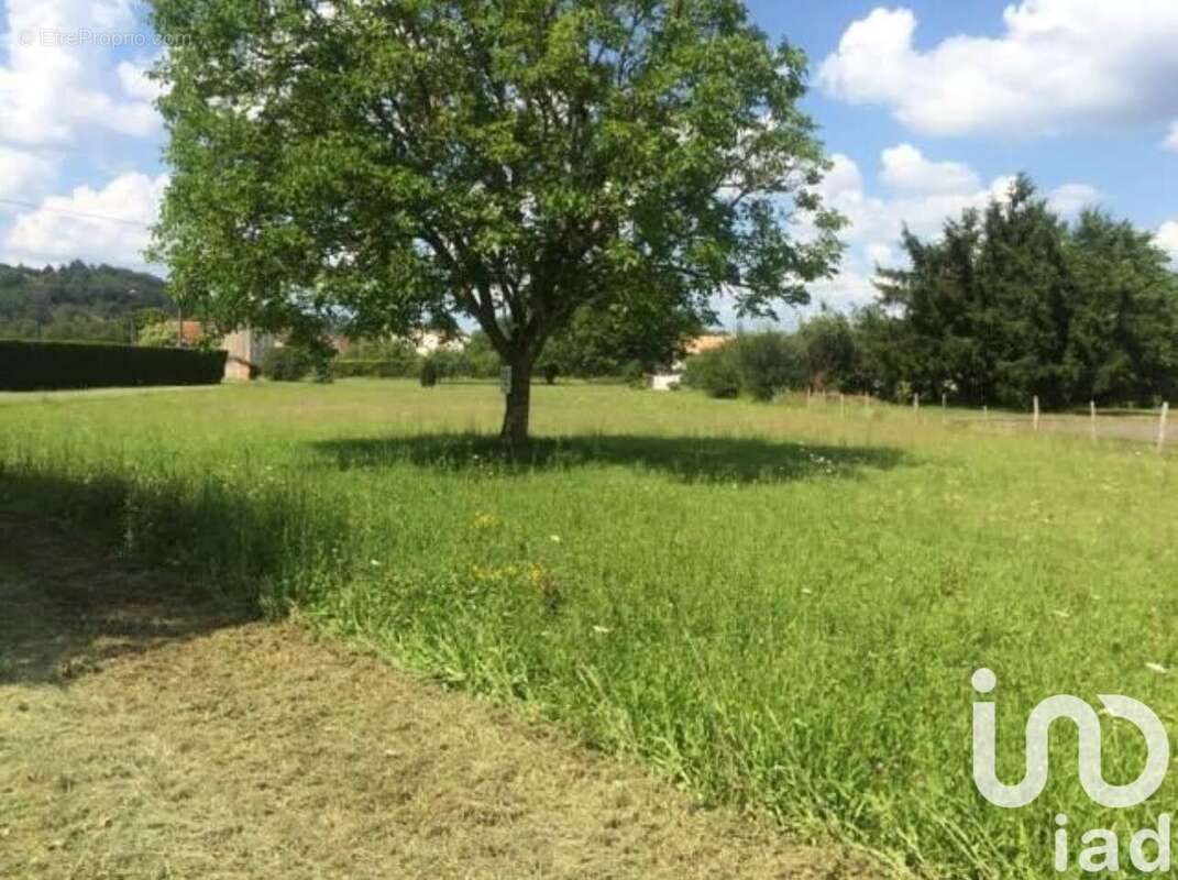Photo 2 - Terrain à BRANTOME