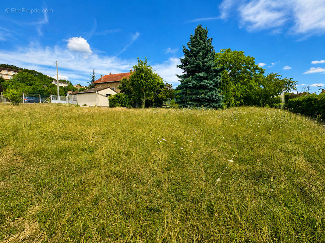 ***Terrain constructible Chanteloup les vignes **** - photo 2