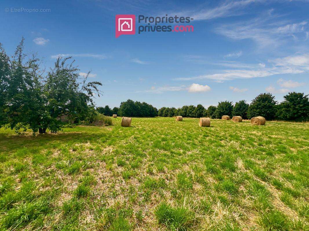 Maison à MARTIGNE-FERCHAUD