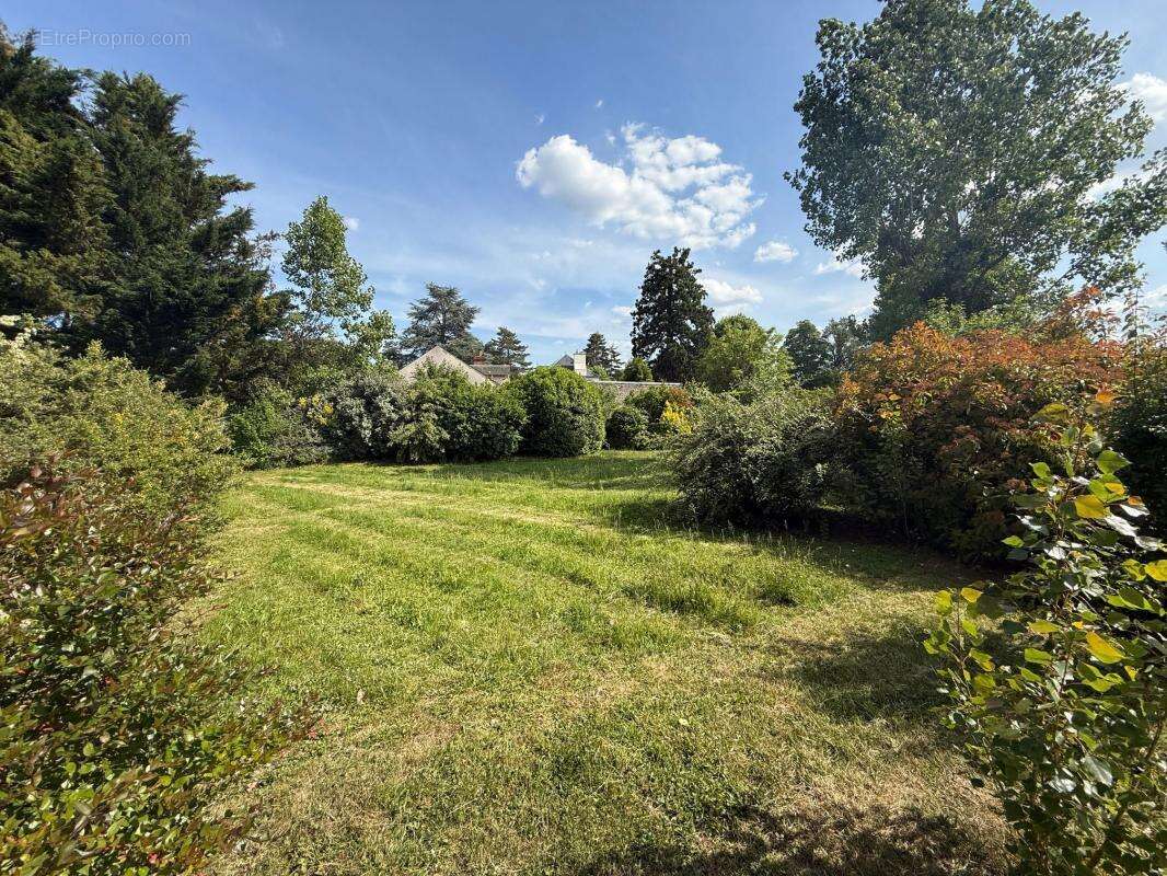 Maison à SAINT-JEAN-LE-BLANC