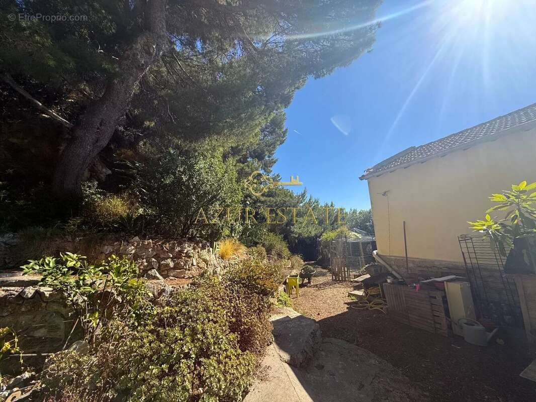 Commerce à CAP-D&#039;AIL